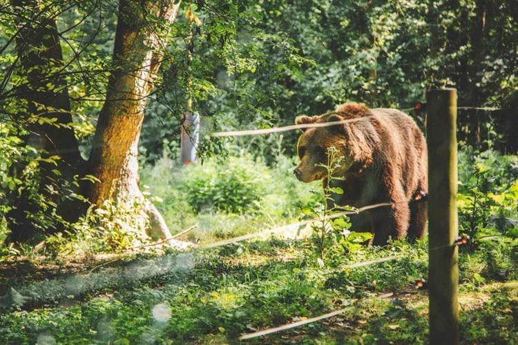 Seeblick Stuer Bagian luar foto